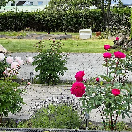 Gustehouse Pansiyon *